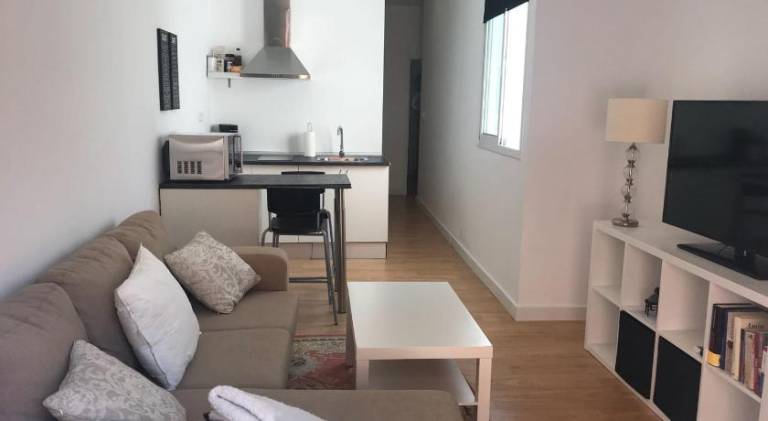Rental apartment | Next to Torre del Oro | Pets allowed in Seville