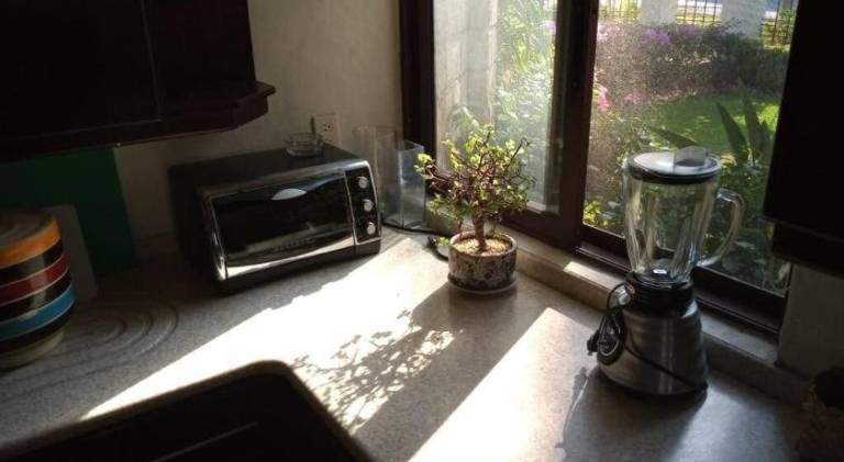 foto41