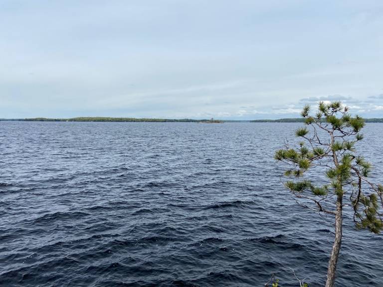 Lite hus Gravenhurst