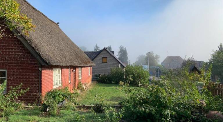 foto14