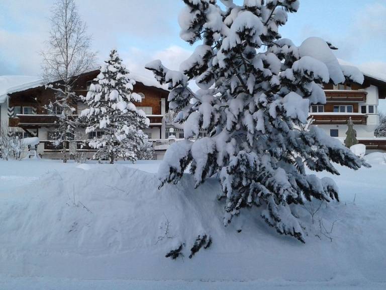 foto37