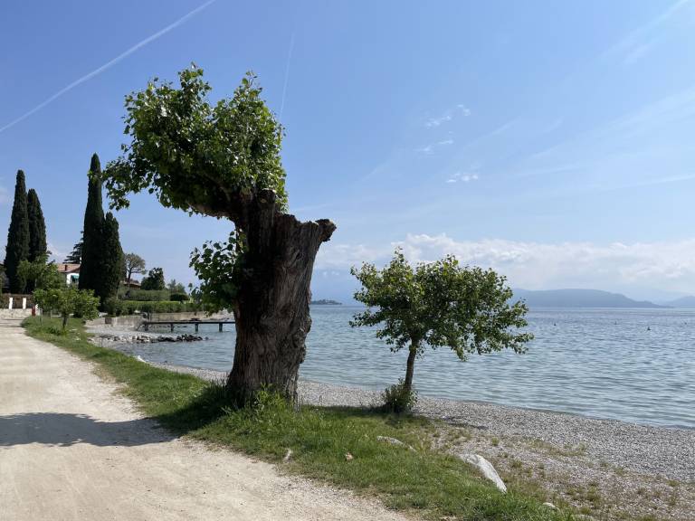 Ferienhaus San Felice del Benaco