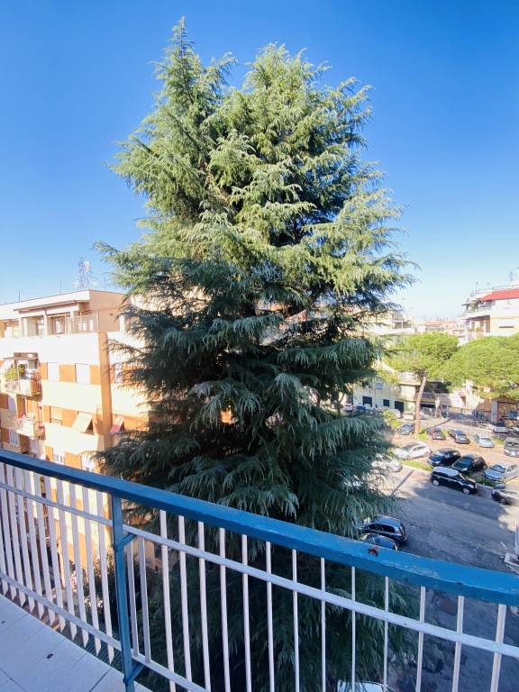foto7