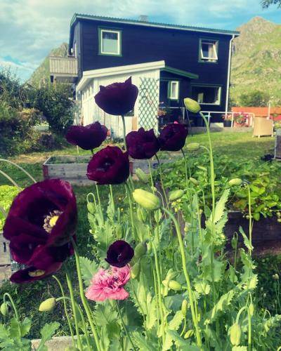 Bed and breakfast  Valberg