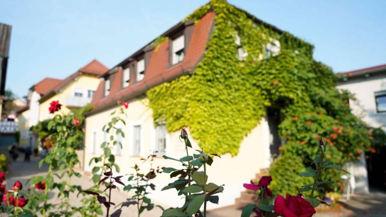 Ferienwohnung Veitshöchheim