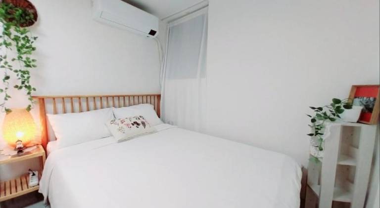 foto31