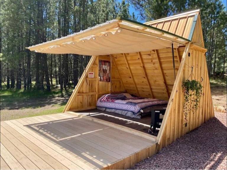 Cabin  Custer