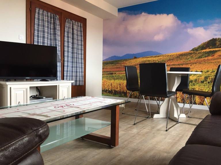 Große Ferienwohnung Gite mit Terrasse