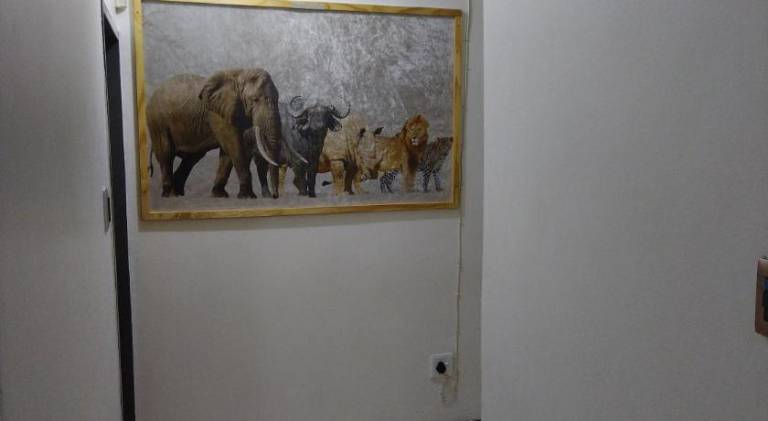 foto5