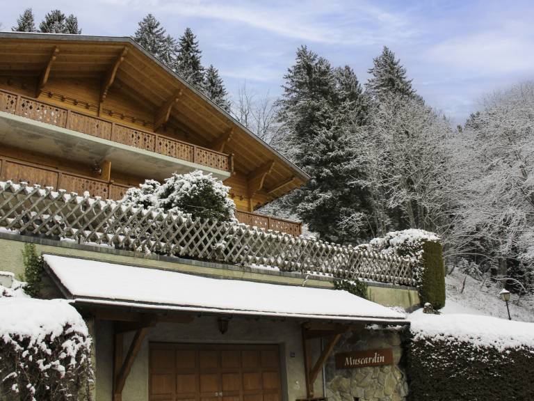 Ferienwohnung mit Hund in Ollon, Leysin für max. 8 Personen