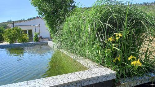Quarto (B&B) Vale Grou