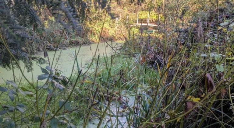 1022 m&sup2; Ferienhaus