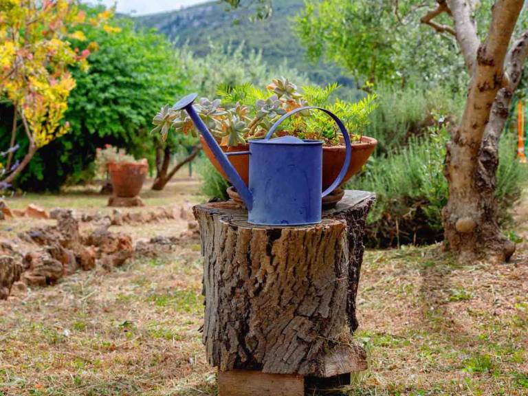 Maison de vacances  Jelsa