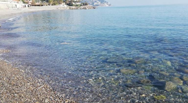 Holiday apartment | Next to the beach | Pet-friendly in Bordighera