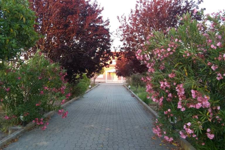 foto6