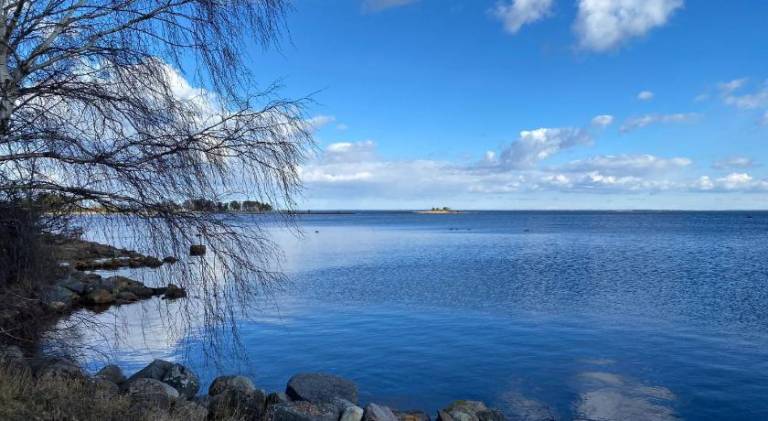 Bed & Breakfast Torsås