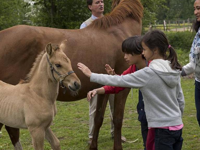 foto43