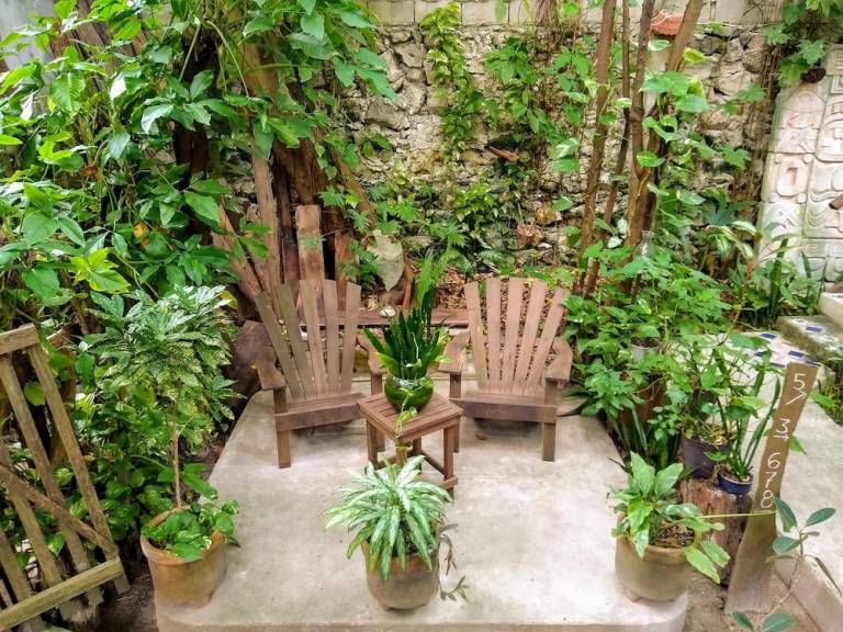 Accommodation Puerto Morelos