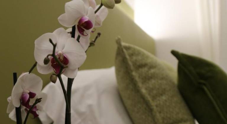 Wonderful holiday apartment | Pets allowed in Vinci