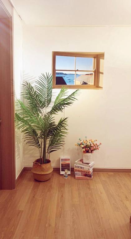 foto7