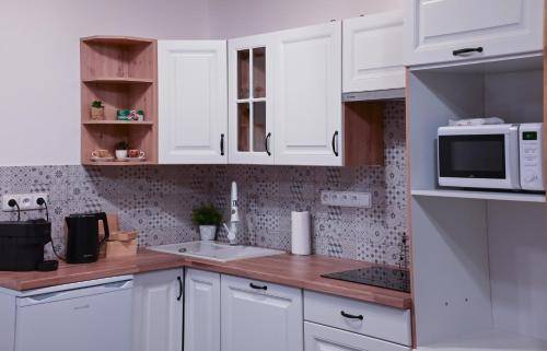 Apartmán Šatov