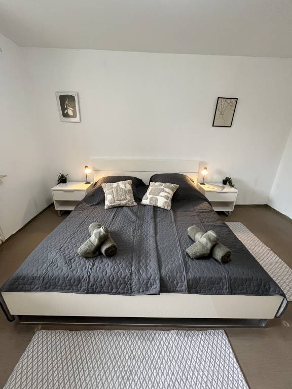Ferienwohnung mit Hund in Offenburg für max. 6 Gäste