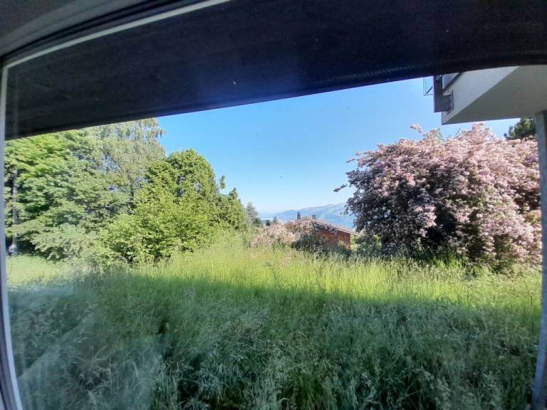 foto9