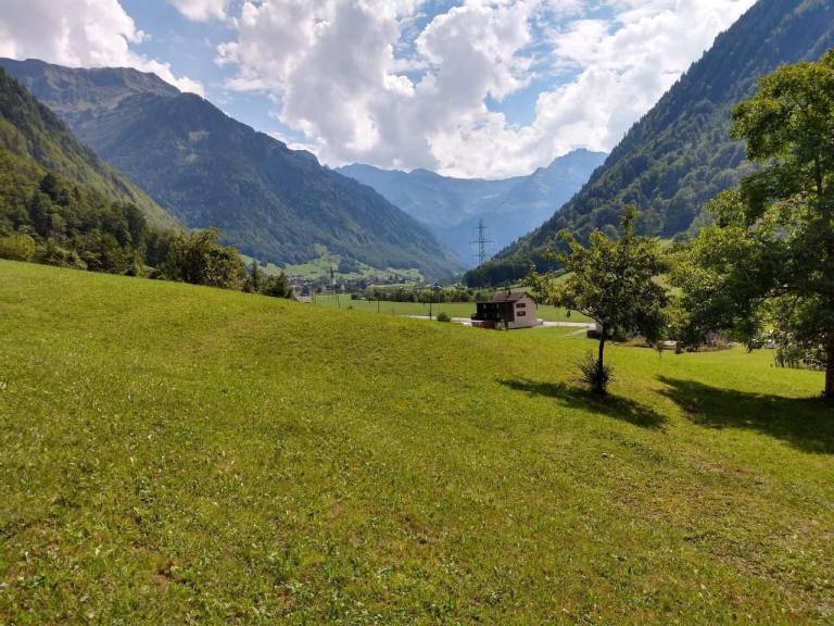 Ferienhaus Engi
