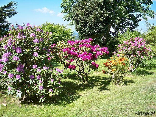 foto21