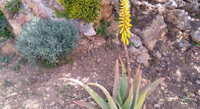foto48