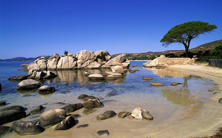 Maison de vacances Rivedoux-Plage