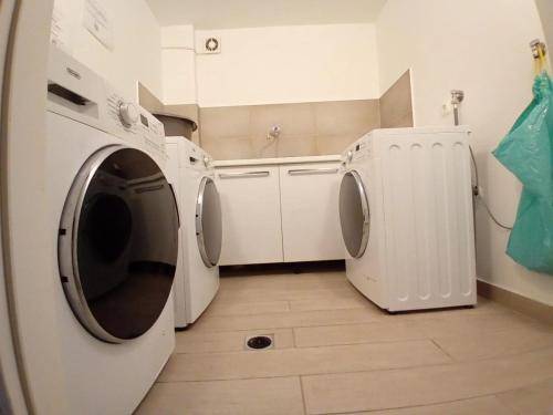 foto11