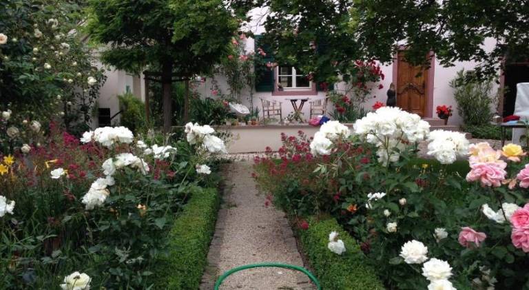 foto14