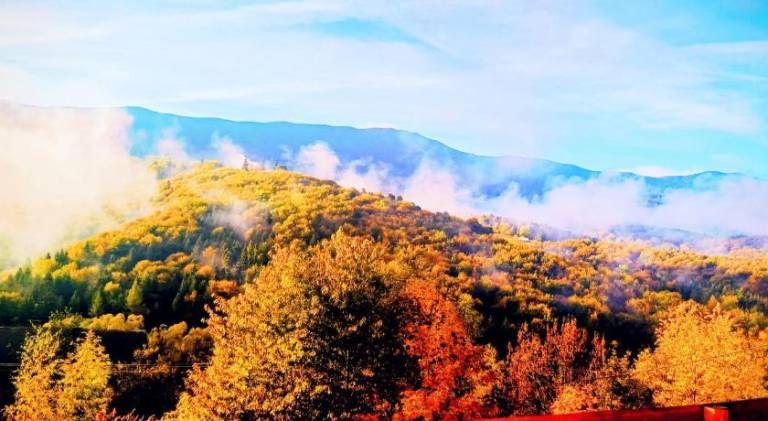 Agroturystyka Zubrzyca Górna