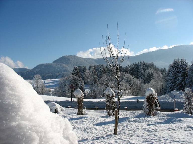 foto7
