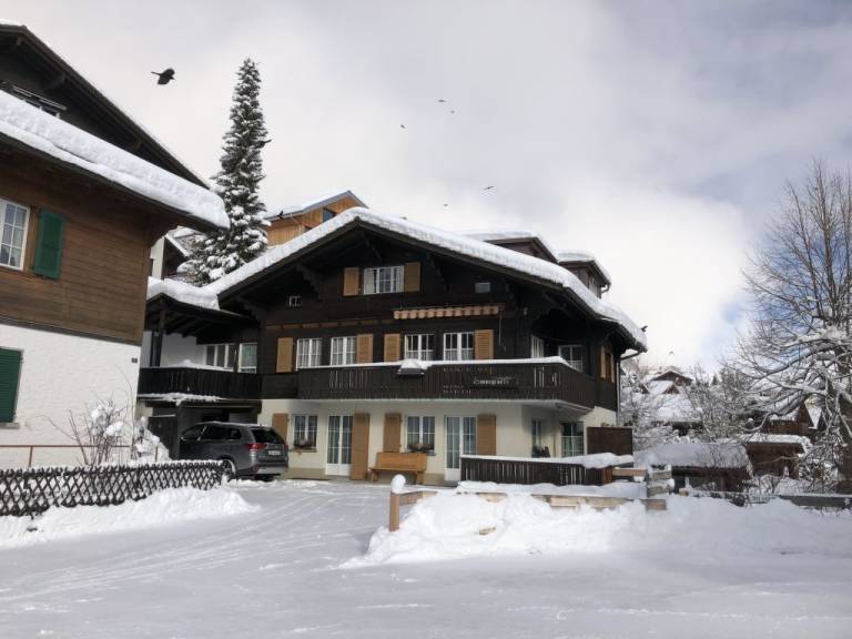 Appartement Adelboden