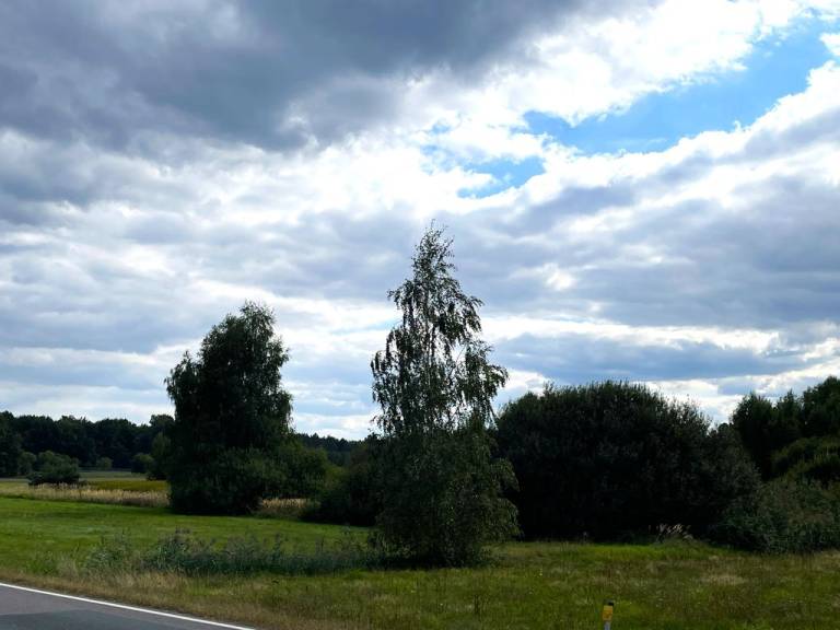 foto25