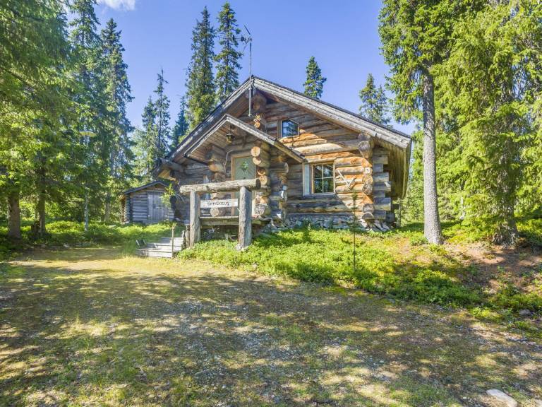 Vacation home with sauna — photo 2
