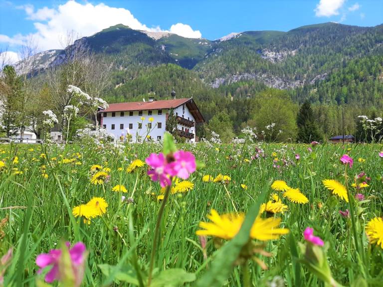 Ferienwohnung Achensee