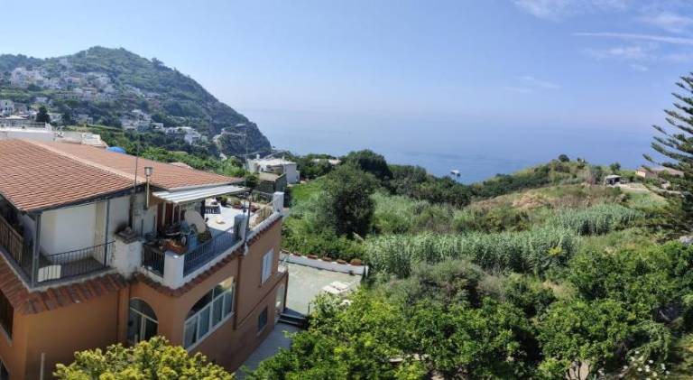 Casa Pesce Rooms Rent — photo 3
