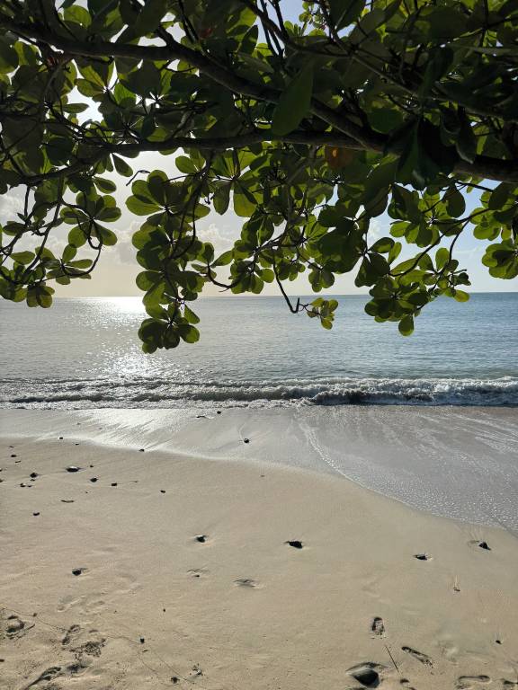 House Gros Islet