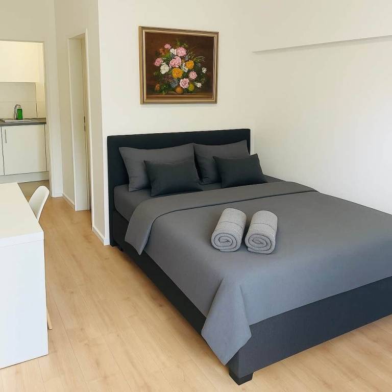 Ferienwohnung Bad Kissingen