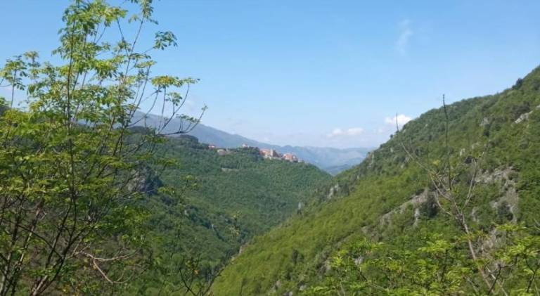 Holiday apartment with terrace & yard | Pets allowed in Frosinone