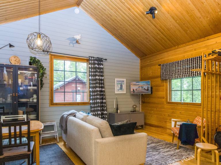 Vacation home with sauna — photo 3