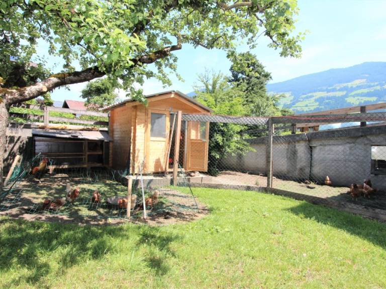 foto33