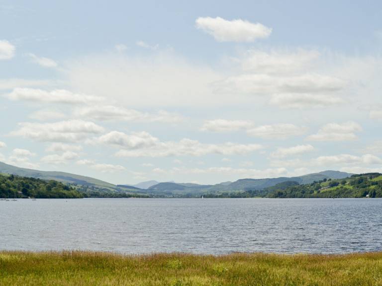 Cottage  Bala