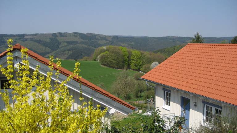Ferienhaus Heidelberg