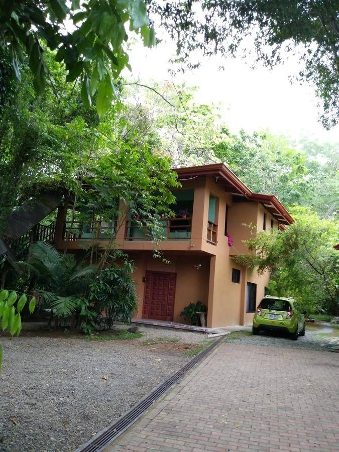 Bosquecito — photo 2