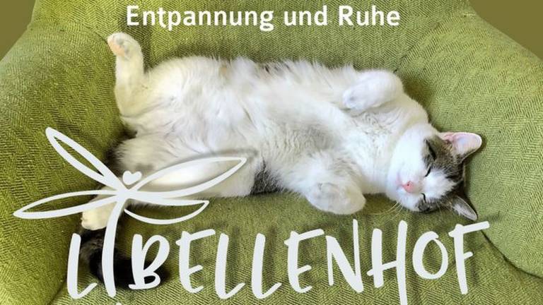 Ferienwohnung  Schlepzig