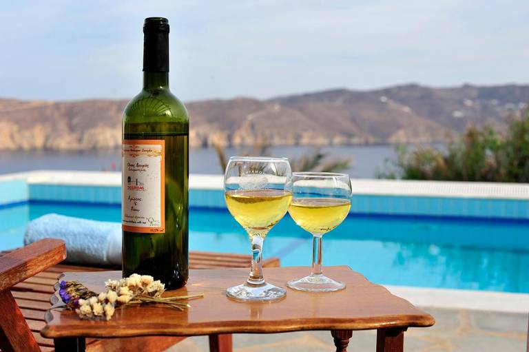 Big serviced apartment with pool, patio & yard | Next to the beach | Pet-friendly in Mykonos